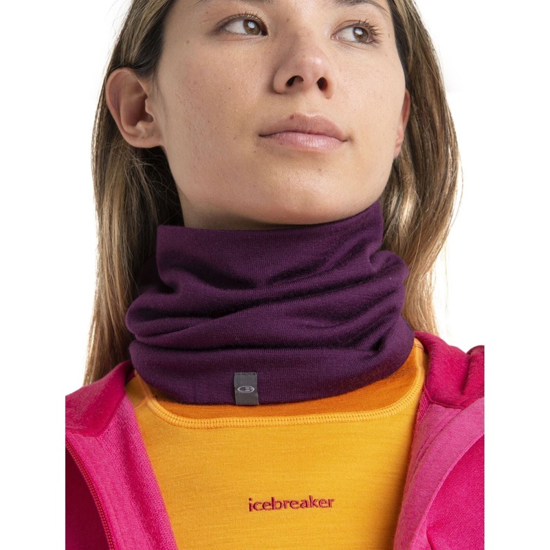 Icebreaker Unisex Apex Chute Nightshade OS
