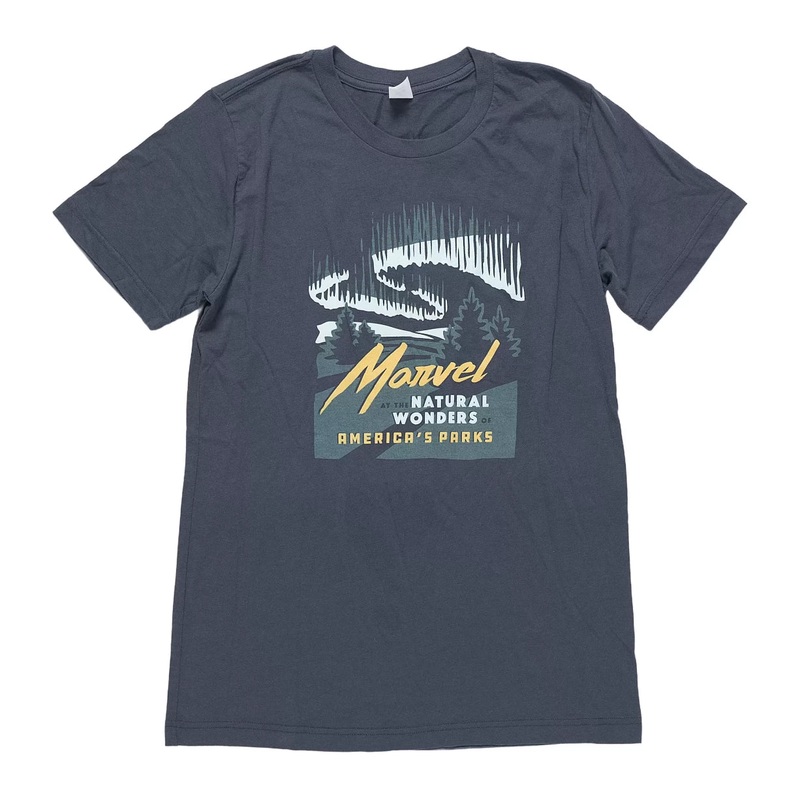The Landmark Project Natural Wonders T-Shirt - Men's M Gray
