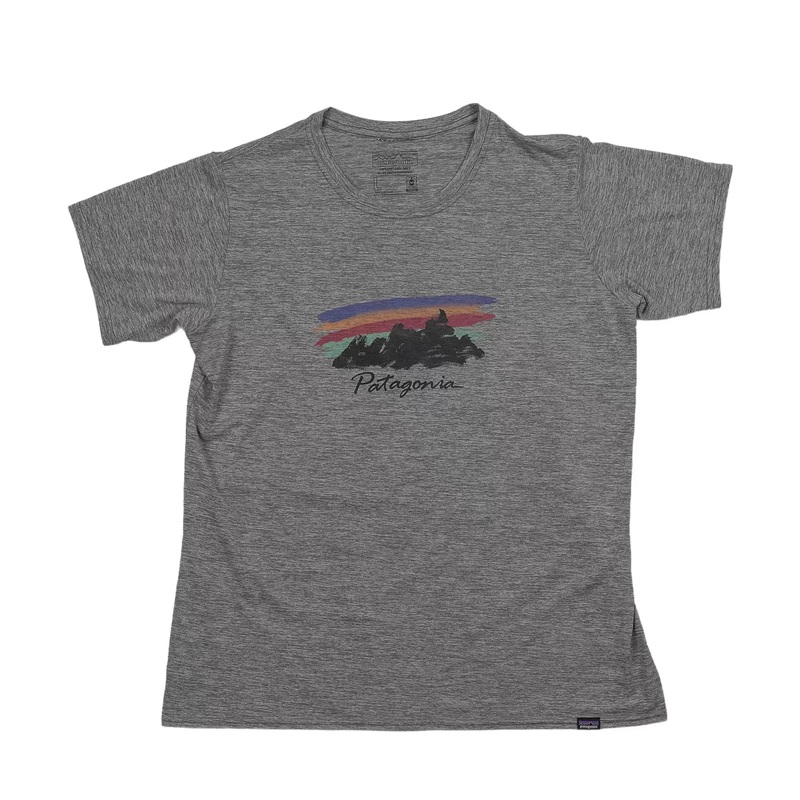 Patagonia Capilene Daily Graphic T-Shirt - Men's L Gray