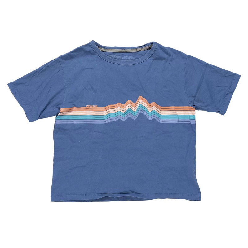 Patagonia Ridge Rise Stripe Organic Easy Cut Tee - Women's XS Blue
