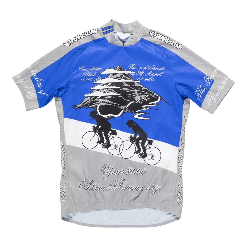 Pearl Izumi Short-Sleeve Full-Zip Cycling Jersey - Men's L Blue/Gray